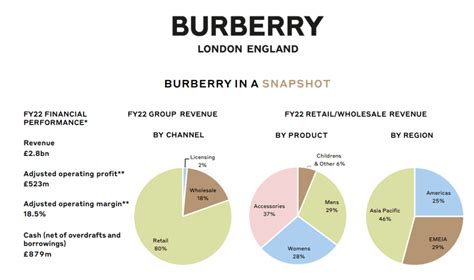 burberry consumer analysis